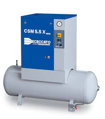 CSM Mini 3-10HP
